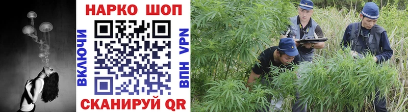  COCAIN Чулым