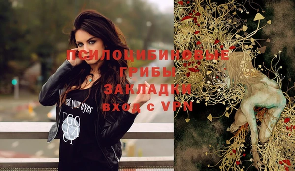мяу мяу мука Балабаново